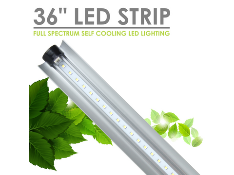 SunBlaster LED Strip Plant Grow Lighting - 36" 36Watt 6400K (Vegetative / Grow) 21716