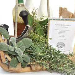 Richters Collection: Herbes De Provence French Herb Garden