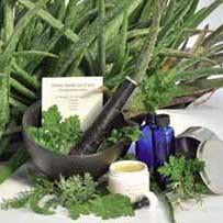 Richters Collection: Home Medicine Chest Healing Herb Garden