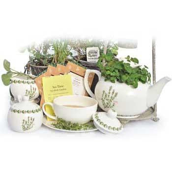 Richters Collection: Tea Time Herb Garden