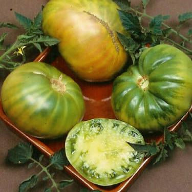 Tomato - Aunt Ruby’s German Green Tomato Seed Pack (Solanum lycopersicum ‘Aunt Ruby’s German Green’)