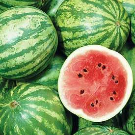 Watermelon - Crimson Sweet Watermelon Seed Pack (Citrullus lanatus ‘Crimson Sweet’)