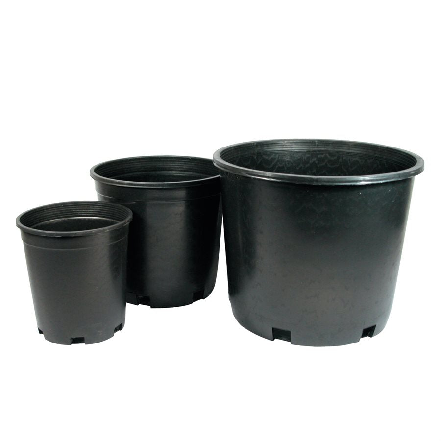 International Nursery Products INP - Plastic Plant Pot - Round Hard 1 Gallon 6.25" x 7" 1005