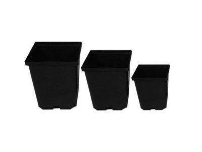 Kordlock Plastic Plant Pot - Square Hard 5.5x5.5x6"