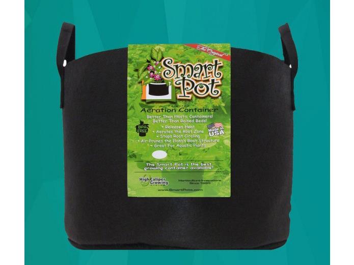 Smart Pot Fabric Plant Pot Grow Bag Container - 3 Gallon w/ Handles