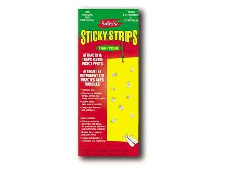 Safer's Sticky Strips - 5 Disposable Traps and Hanger 1354